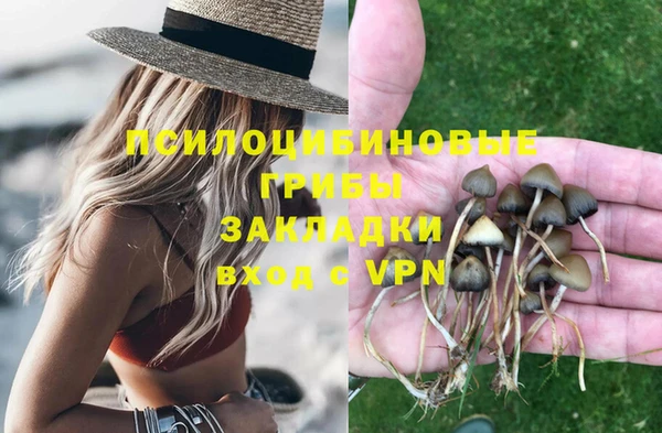 Альфа ПВП Богданович