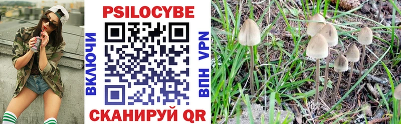 Галлюциногенные грибы ЛСД  мориарти формула  Энгельс 